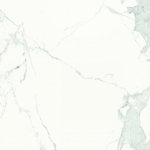 Estatuario E01 Polished
