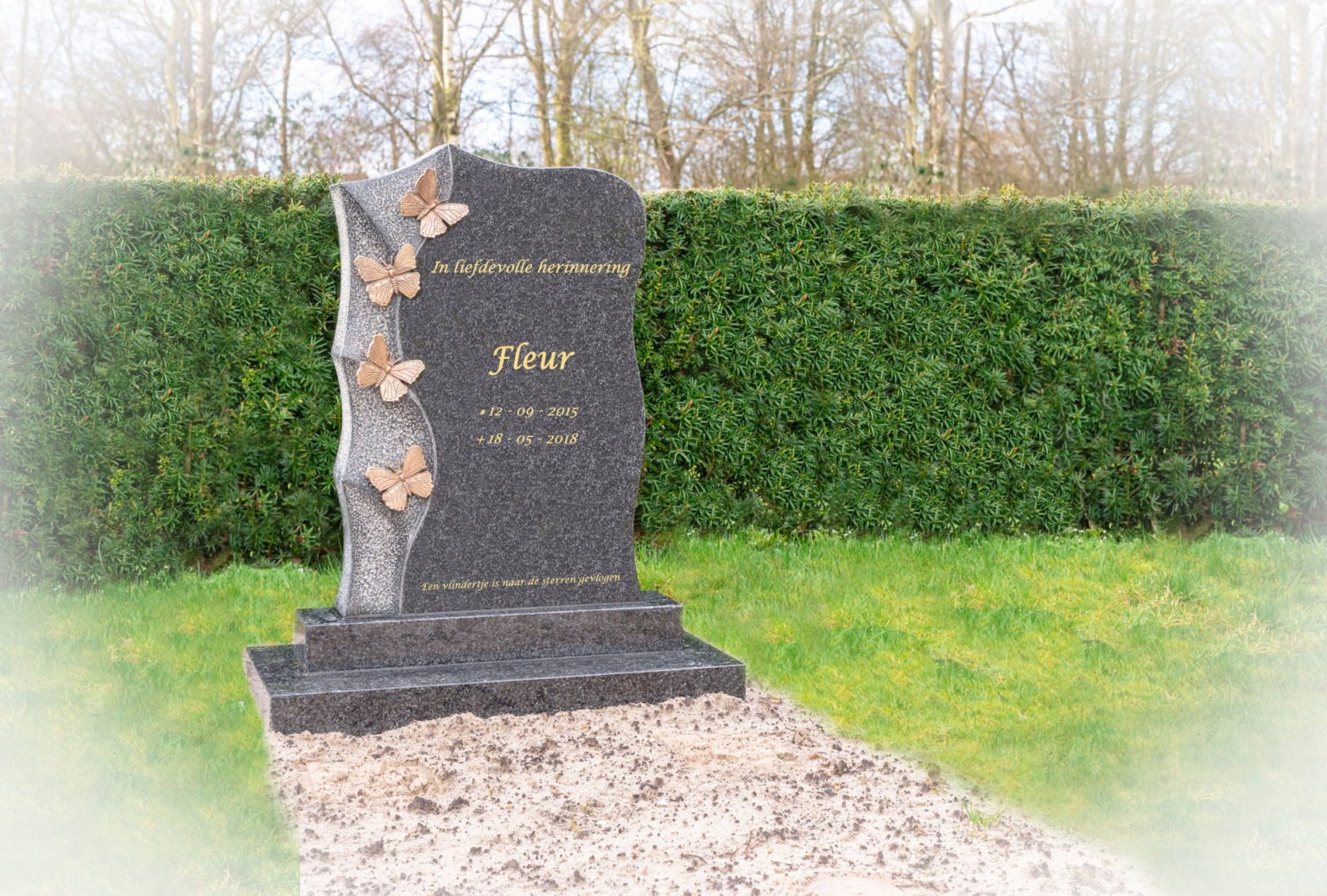 enkele grafsteen busgowetz graniet met bronzen vlinders