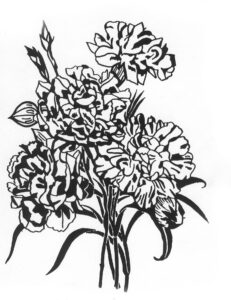 B091 1