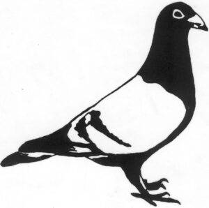 C023