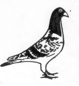 C138