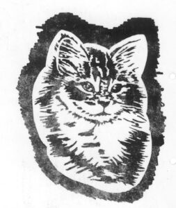 C211