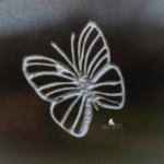 vlinder in steen scaled