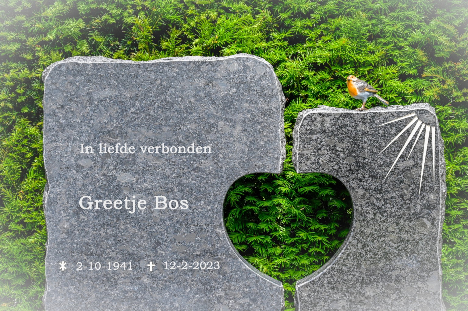 Roodborstje grafsteen scaled